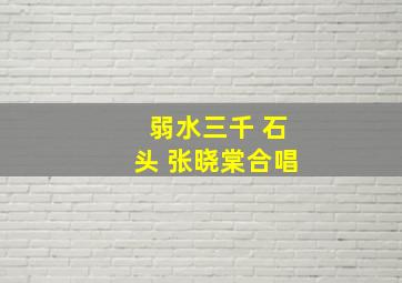 弱水三千 石头 张晓棠合唱